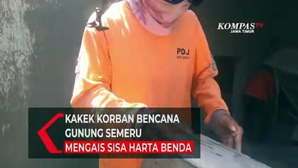 Download Video: Kakek Korban Bencana Gunung Semeru Mengais Sisa Harta Benda