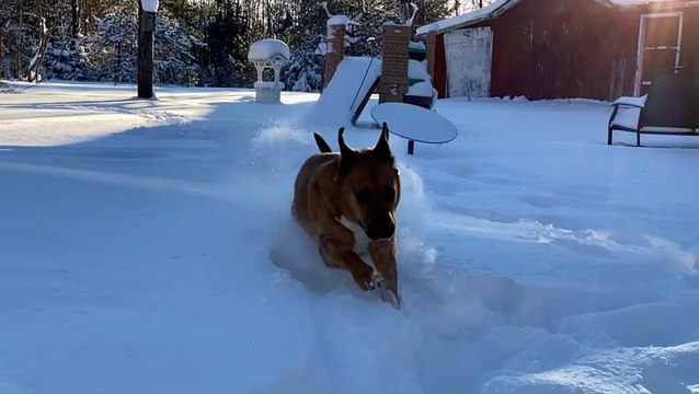 Snow blankets the Upper Midwest