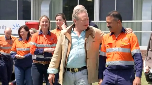 'Twiggy' Forrest backs Hunter regions green hydrogen plan