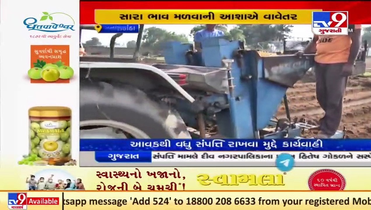 Banaskantha_ Potato growing farmers expect fair price of their produce _ TV9News