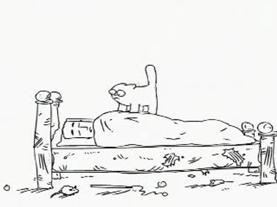 réveillé par un chat