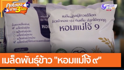 เมล็ดพันธุ์ข้าว "หอมแม่โจ้ ๙"  (7 ธ.ค. 64) คุยโขมงบ่าย 3 โมง