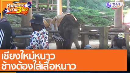 เชียงใหม่หนาว ช้างต้องใส่เสื้อหนาว (7 ธ.ค. 64) คุยโขมงบ่าย 3 โมง