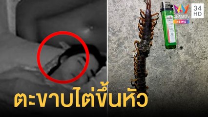 สาวผวา! ตะขาบไต่ขึ้นหัวกลางดึก | ข่าวเที่ยงอมรินทร์ | 8 ธ.ค.64