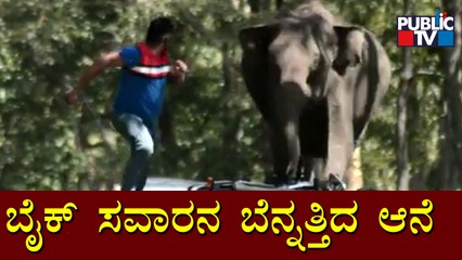 Bike Rider Runs Away After Seeing An Elephant In Gundlupet, Chamarajanagar