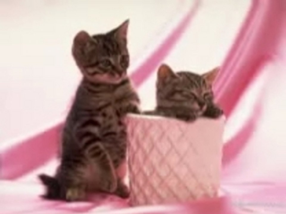 Fokaha 02 lol mdr dahka 2008