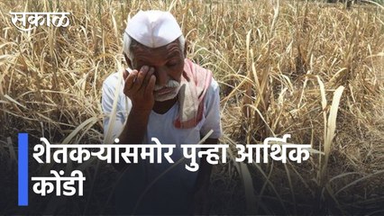Farmers To Face Inflation l शेतकऱ्यांसमोर पुन्हा आर्थिक कोंडी, खतामध्ये सरासरी 300 रुपयांची वाढ l