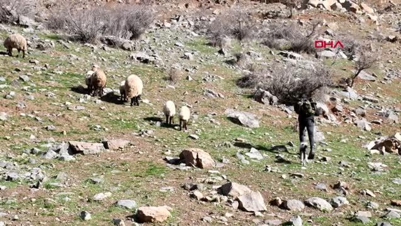 ŞIRNAKLI ÇOBANLARIN ANITKABİR NÖBET DEĞİŞİMİ TAKLİDİ BEĞENİ TOPLADI