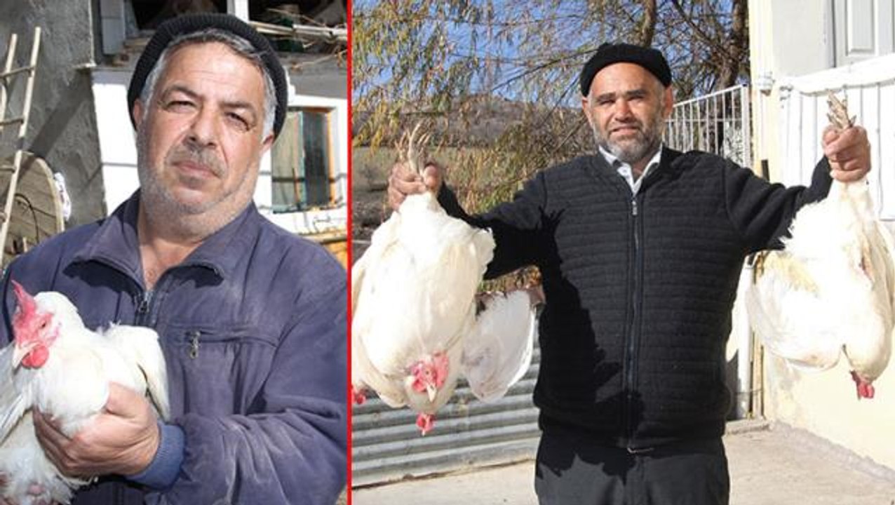 "Zamların dolarla ilgisi yok" diyen besiciden, yem ve tavuk fiyatlarındaki artışa karşı ilginç protesto: Ücretsiz dağıtıyor