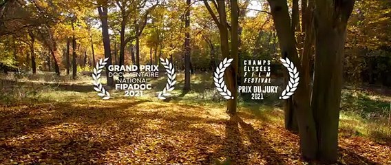 AU COEUR DU BOIS de Claus Drexel - BANDE-ANNONCE