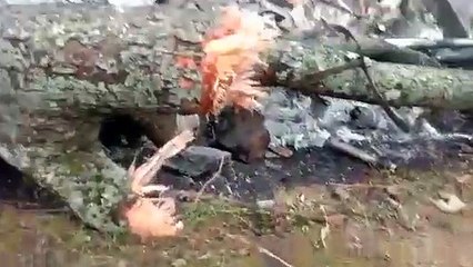 நீலகிரியில் பிபின் ராவத் பயணித்த ராணுவ ஹெலிகாப்டர் தரையில் விழுந்து நொறுங்கியது - வீடியோ