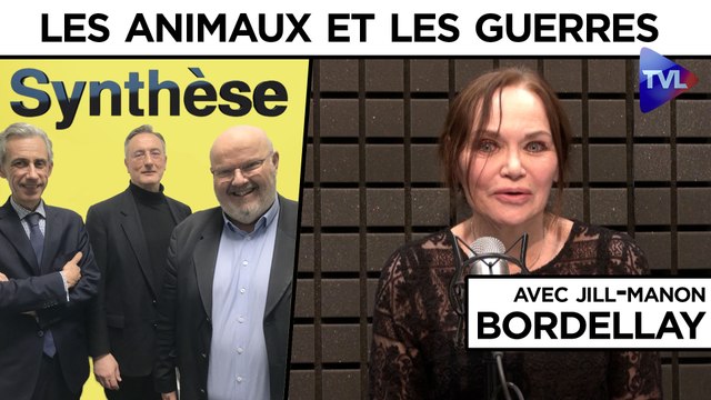 Synthèse : Les animaux et les guerres