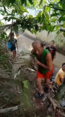 Jala ikan Di Paret Kecil Ngak Nyangka Dapat Baung