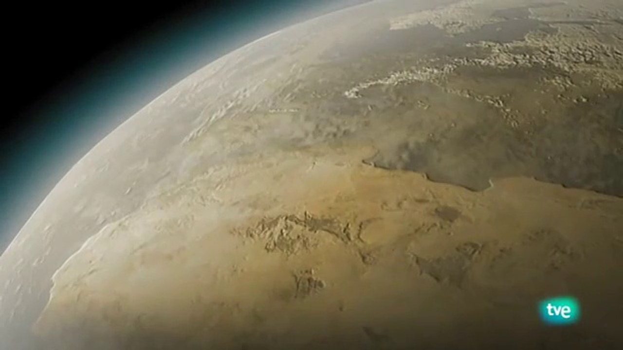 Fauna amenazada: El Águila pescadora