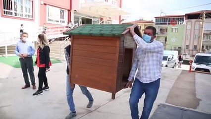 Her okula bir sokak köpeği projesi 25 okula ulaştı
