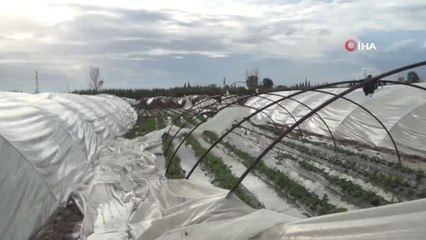 Yağmur ve fırtına sonrası seralarda büyük hasar