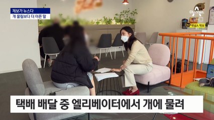 [제보가 뉴스다]개에 물렸는데 “피 한 방울 안 나네” 큰소리