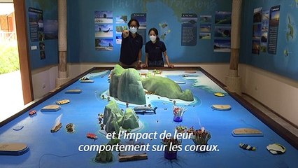 Thaïlande: dévastée par le tourisme, Maya Bay promet de se réinventer