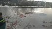 Dos guardias civiles se meten en un lago helado de Canfranc para salvar a un perro