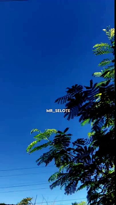 #shorts  ❤️ Sad Shayari Status  Poetry Status  Instagram Reels #Youtubeshorts #shortsfeed