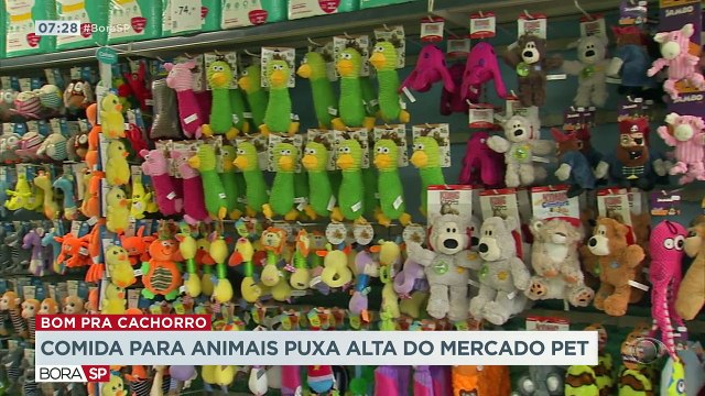 O mercado pet está aquecido. A previsão de faturamento para este segundo semestre chega a quase cinquenta bilhões de reais.