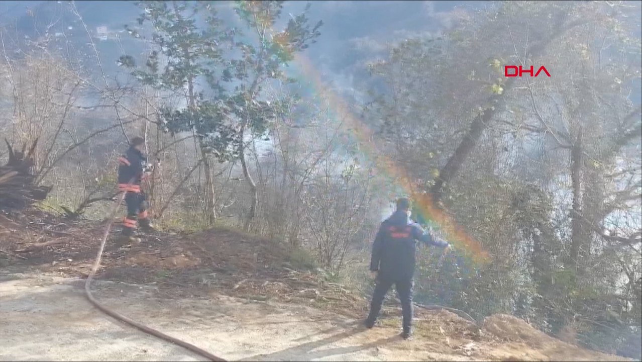 Sürmene'de 4 noktada orman yangını
