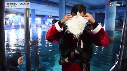 Santa brings Christmas gifts to fish in Bangkok aquarium