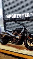 IBW 2021: Harley Davidson Sportster S