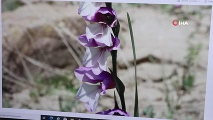 Keşfedilen bitki türüne İzzet Baysal'ın ismi verildi