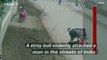 Unbelievable Video Captured Man Being Attacked by Stray Angry Bull