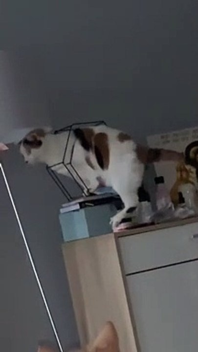 Work smarter not harder