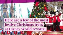 Tour Disney World's Most Magical, Themed Christmas Trees