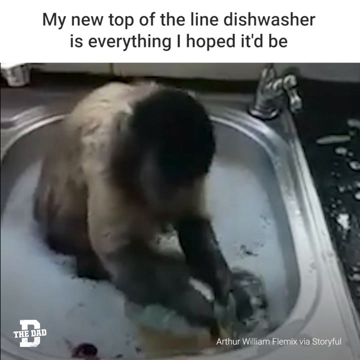 Dishwasher