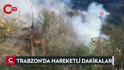 Trabzon'da 4 noktada orman yangını