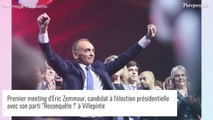 Eric Zemmour : L'identité de l'homme qui l'a agressé à Villepinte révélée