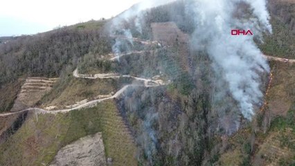 Son dakika: TRABZON'DA 4 NOKTADA ORMAN YANGINI