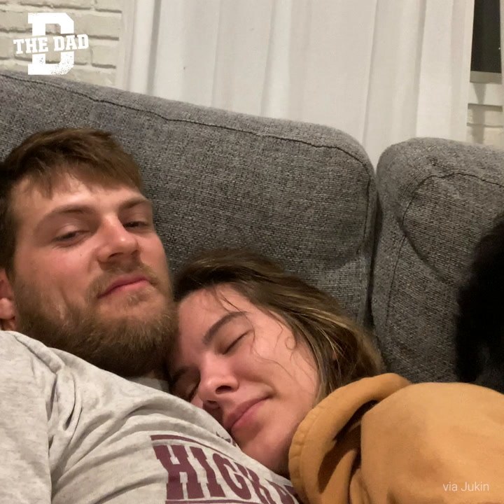 Db - Dog Cuddle
