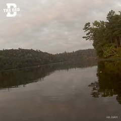 Db - Kittens Swim To Boat