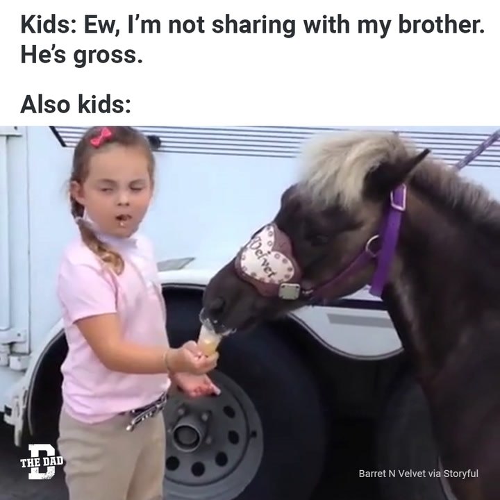 Horse Share