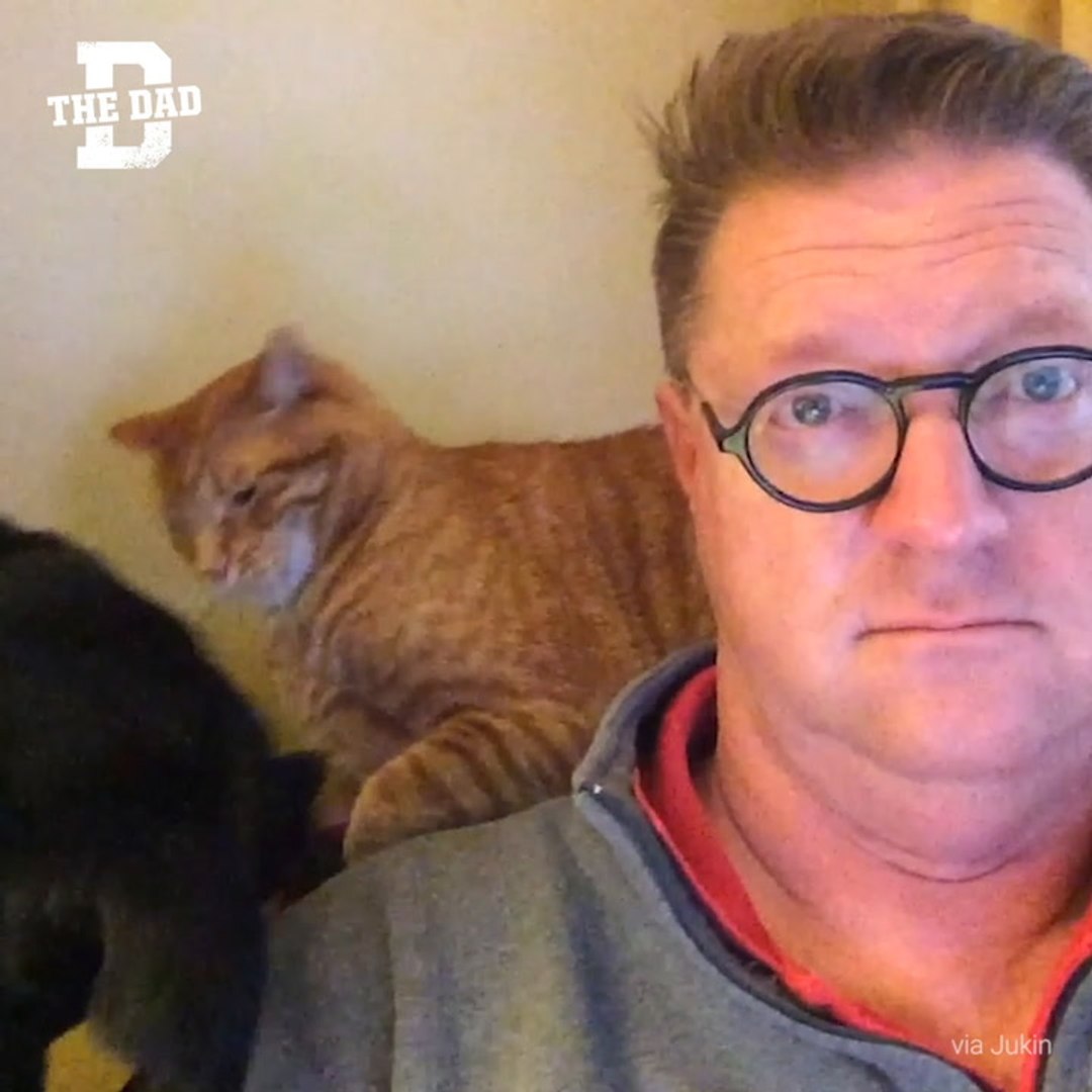 ⁣Man Tries To Watch News As Pets Fight