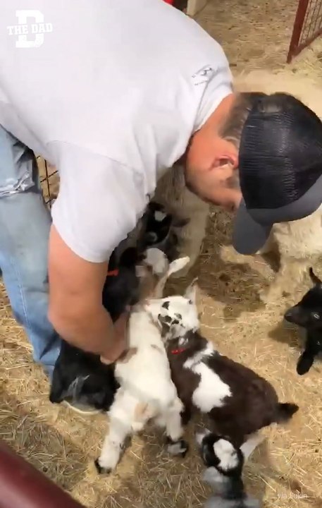 Goat Hug Fb