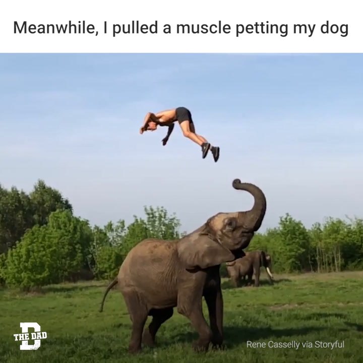 Elephant Jump