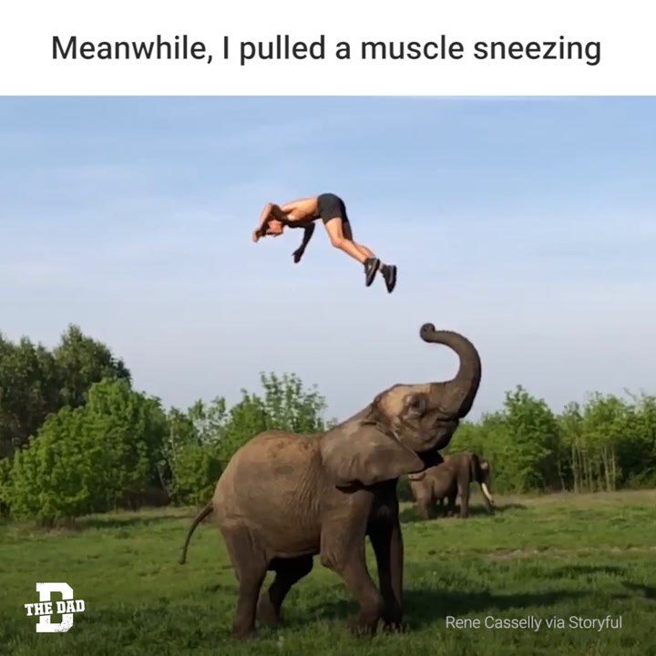 Elephant
