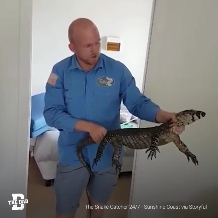 Snake Catcher