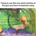 Hamster Wheel
