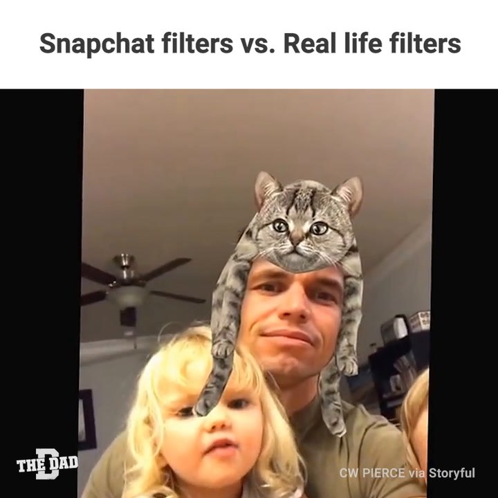 Cat Filters
