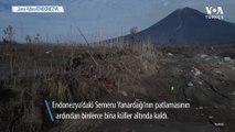 Endonezya’da Patlayan Yanardağ Binlerce Kişiyi Evsiz Bıraktı