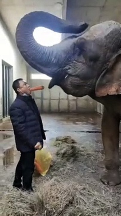 Friendship Eating