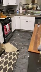 Ice Crashes Through New Jersey Family's Home