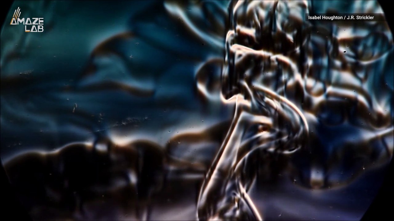 These Small Sea Insects Can Create Ocean Currents